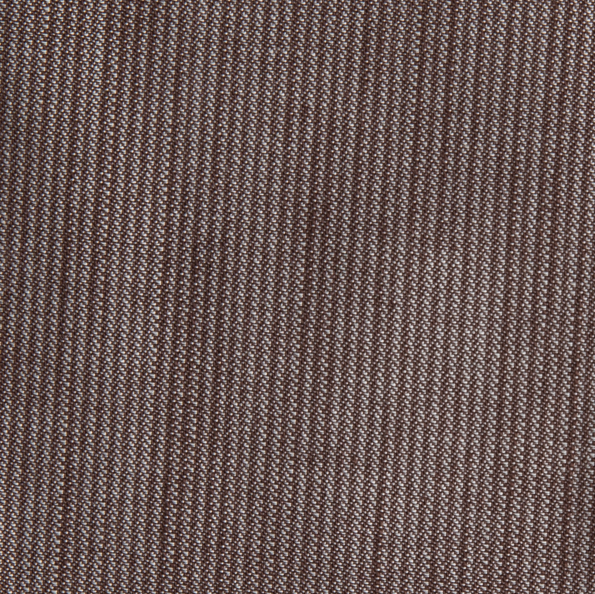 pee02_ear_d_v1_hr